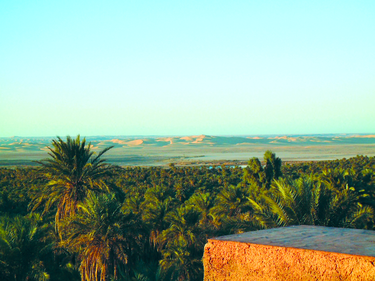 رشيد بوجدرة وإبراهيم سعدي نموذجاً تمثيل الصحراء في الرواية الجزائرية 
