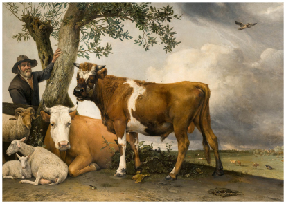 الهولندي باولوس بوتر ولوحة «الثور»