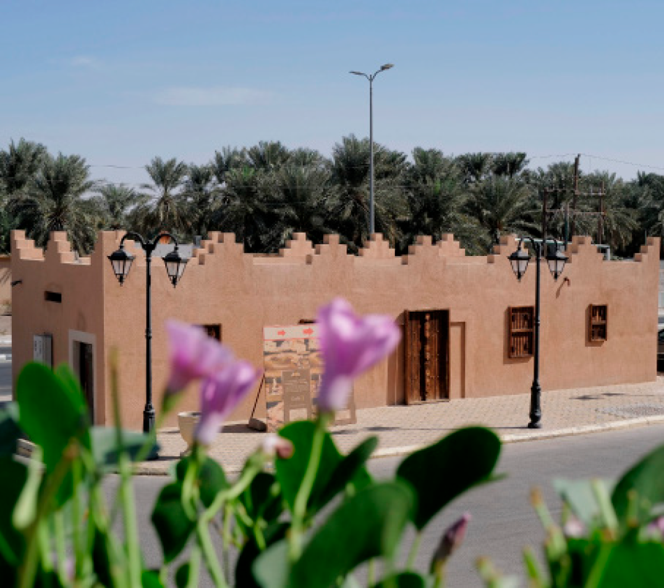الأحساء الواحة الخضراء