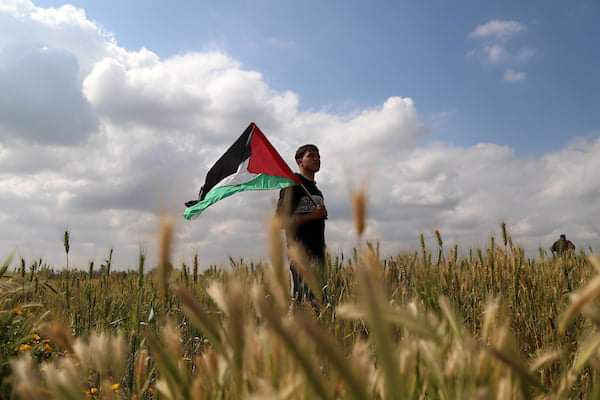 ماذا تعرف عن غزة          